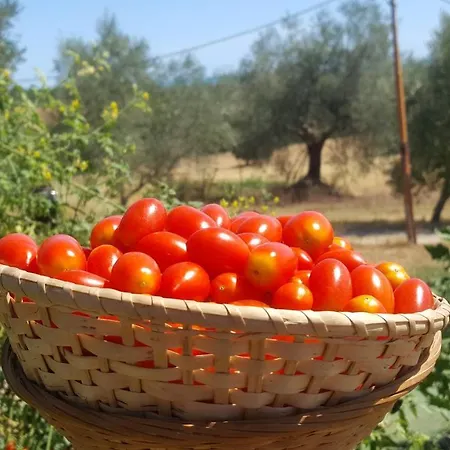 Lejlighed Glamping & Il Villaggio Del Re *