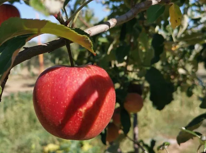 Glamping & Il Villaggio Del Re Апартаменты Коррополи