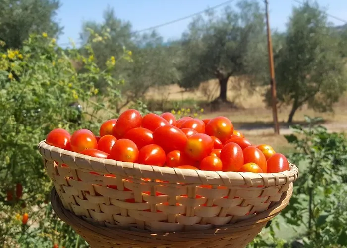 Lejlighed Glamping & Il Villaggio Del Re *