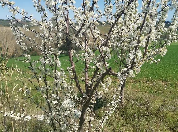 Glamping & Il Villaggio Del Re Corropoli